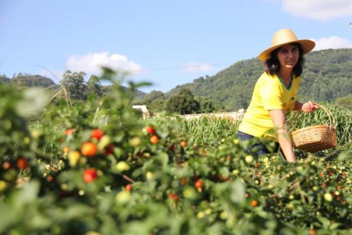Conheça os Benefícios Garantidos às Trabalhadoras Rurais